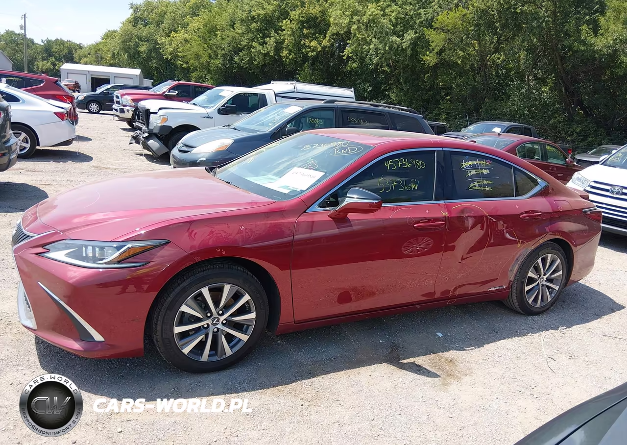 2021 Lexus Es 300H VIN:58ADA1C19MU009324 - 14