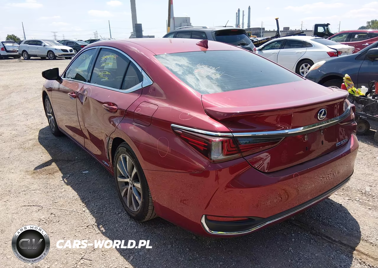 2021 Lexus Es 300H VIN:58ADA1C19MU009324 - 3