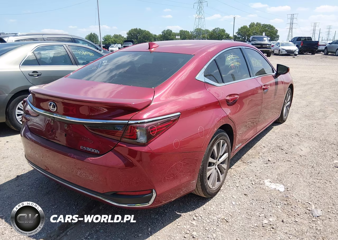 2021 Lexus Es 300H VIN:58ADA1C19MU009324 - 4