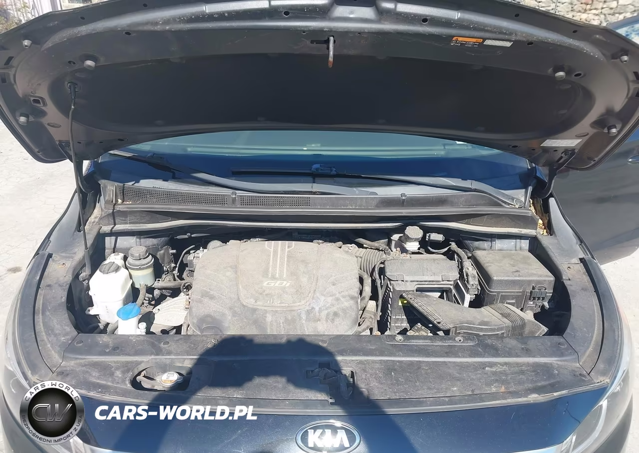 2017 Kia Sedona L VIN:KNDMA5C19H6282874 - 10