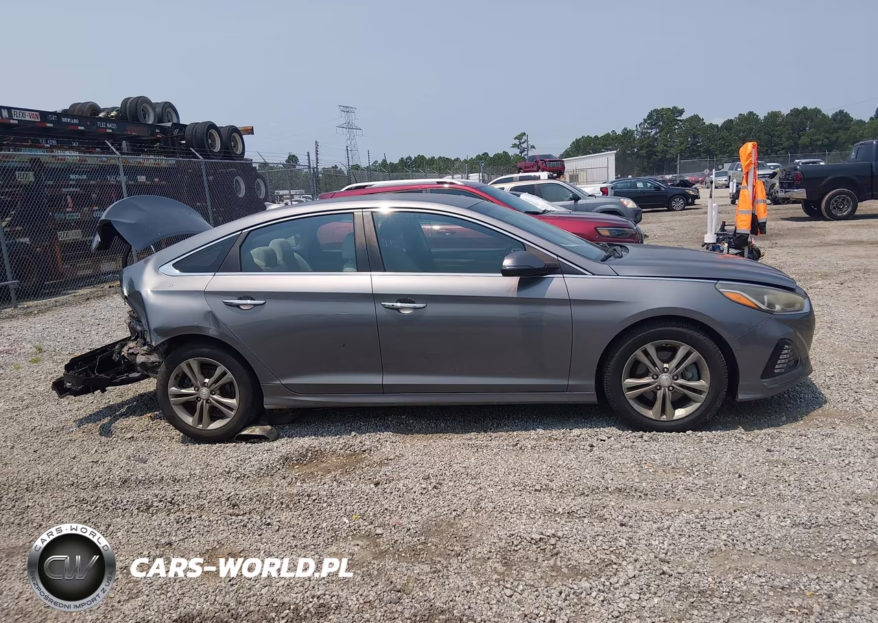 2019 Hyundai Sonata Sel VIN:5NPE34AF9KH795868 - 13