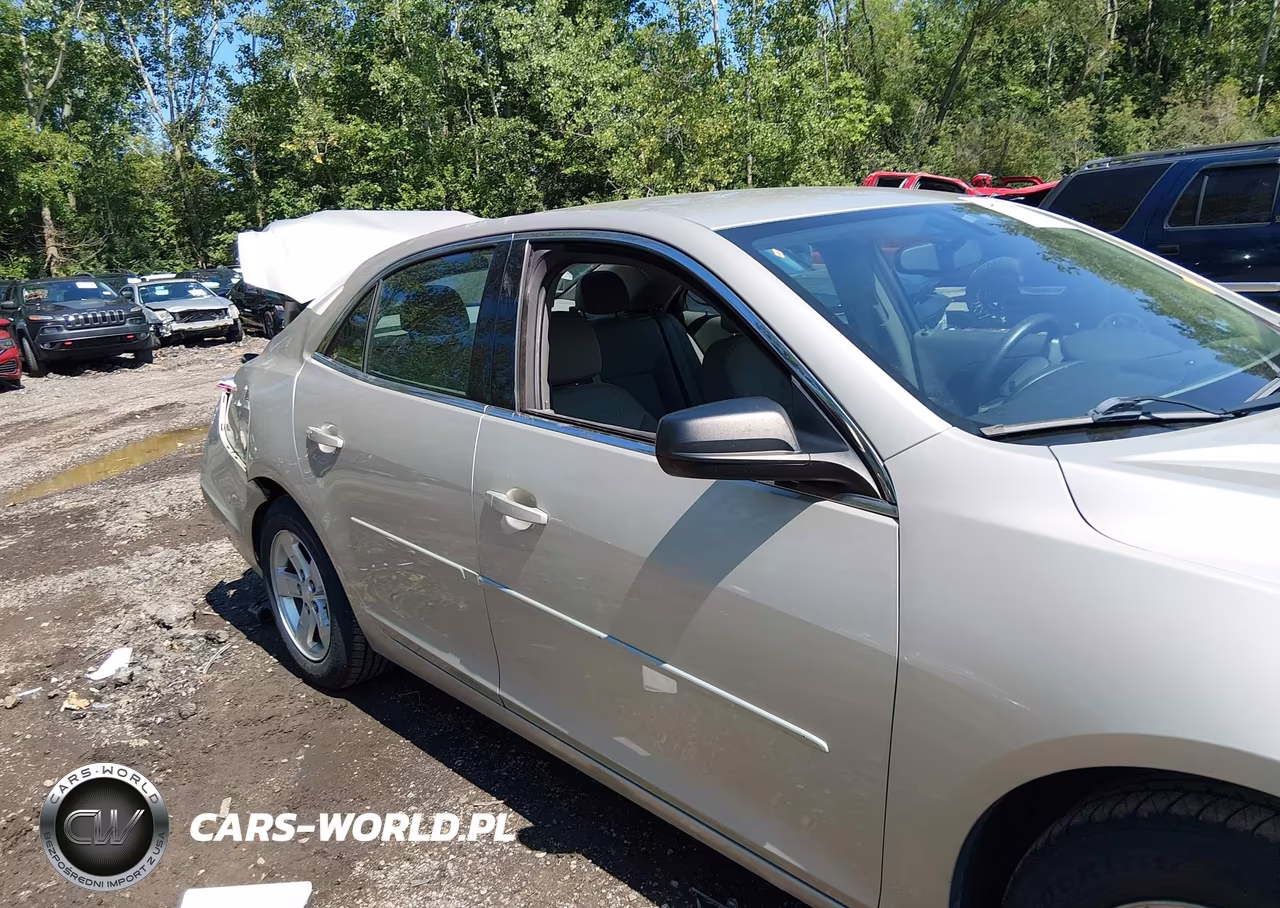 2013 Chevrolet Malibu 1Fl VIN:1G11A5SA4DF318204 - 13