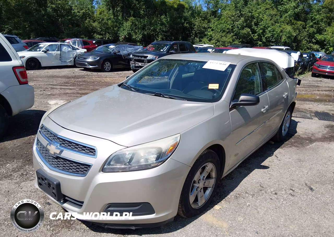 2013 Chevrolet Malibu 1Fl VIN:1G11A5SA4DF318204 - 2