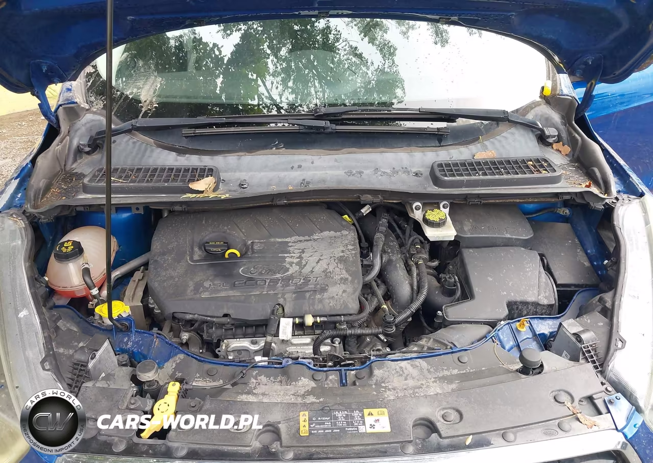 2017 Ford Escape Se VIN:1FMCU0GD5HUC24035 - 10