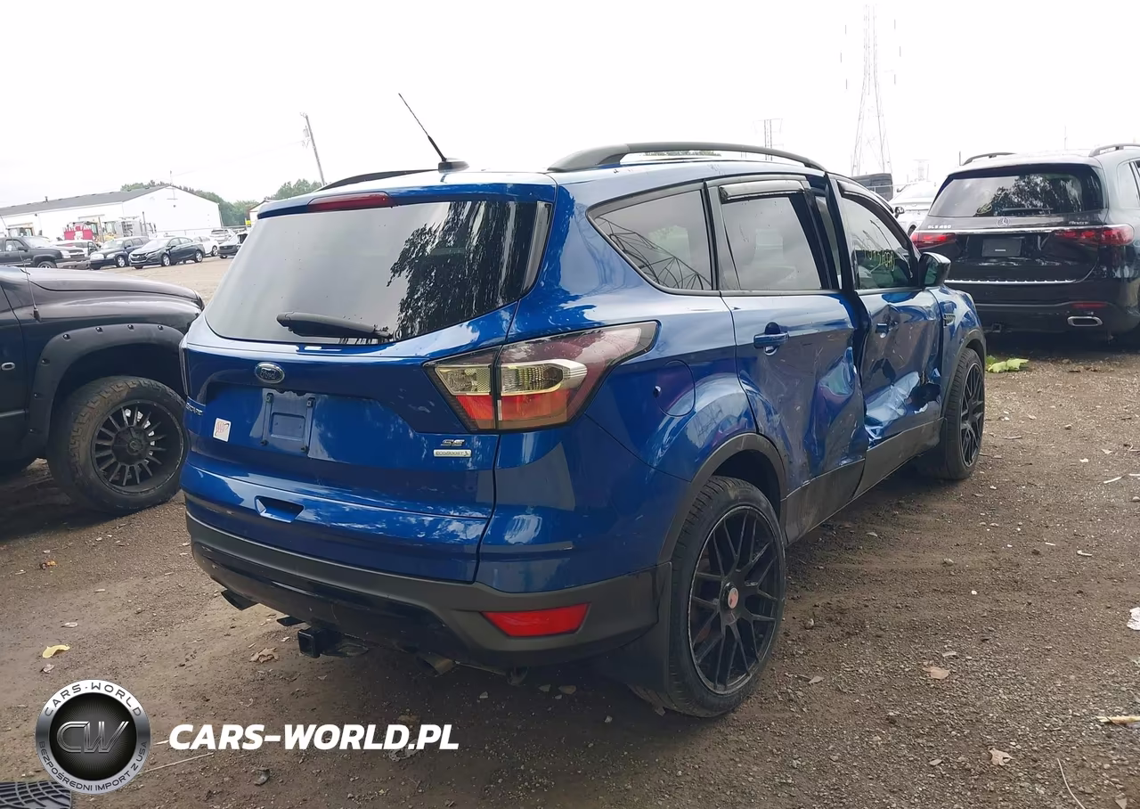 2017 Ford Escape Se VIN:1FMCU0GD5HUC24035 - 4