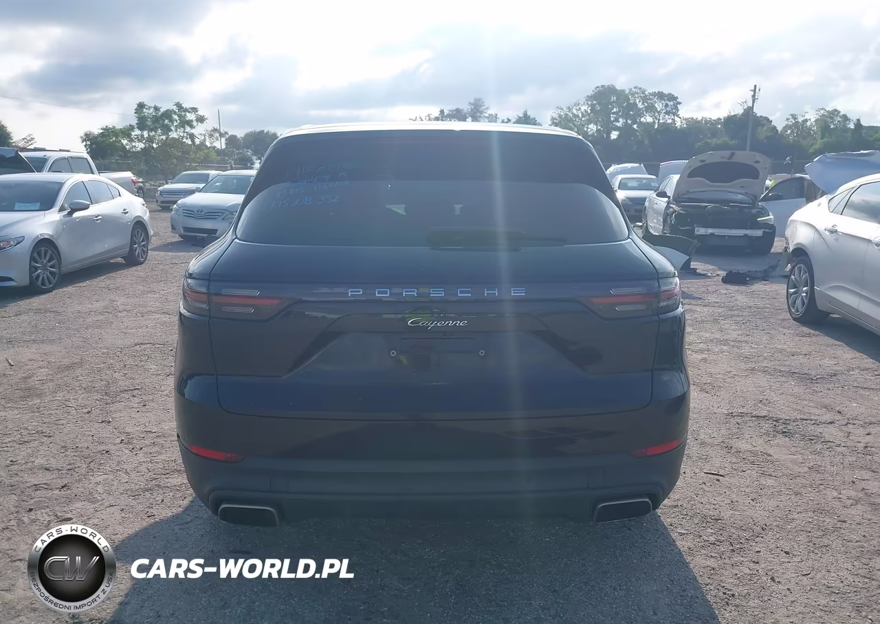2020 Porsche Cayenne VIN:WP1AA2AY5LDA04476 - 17
