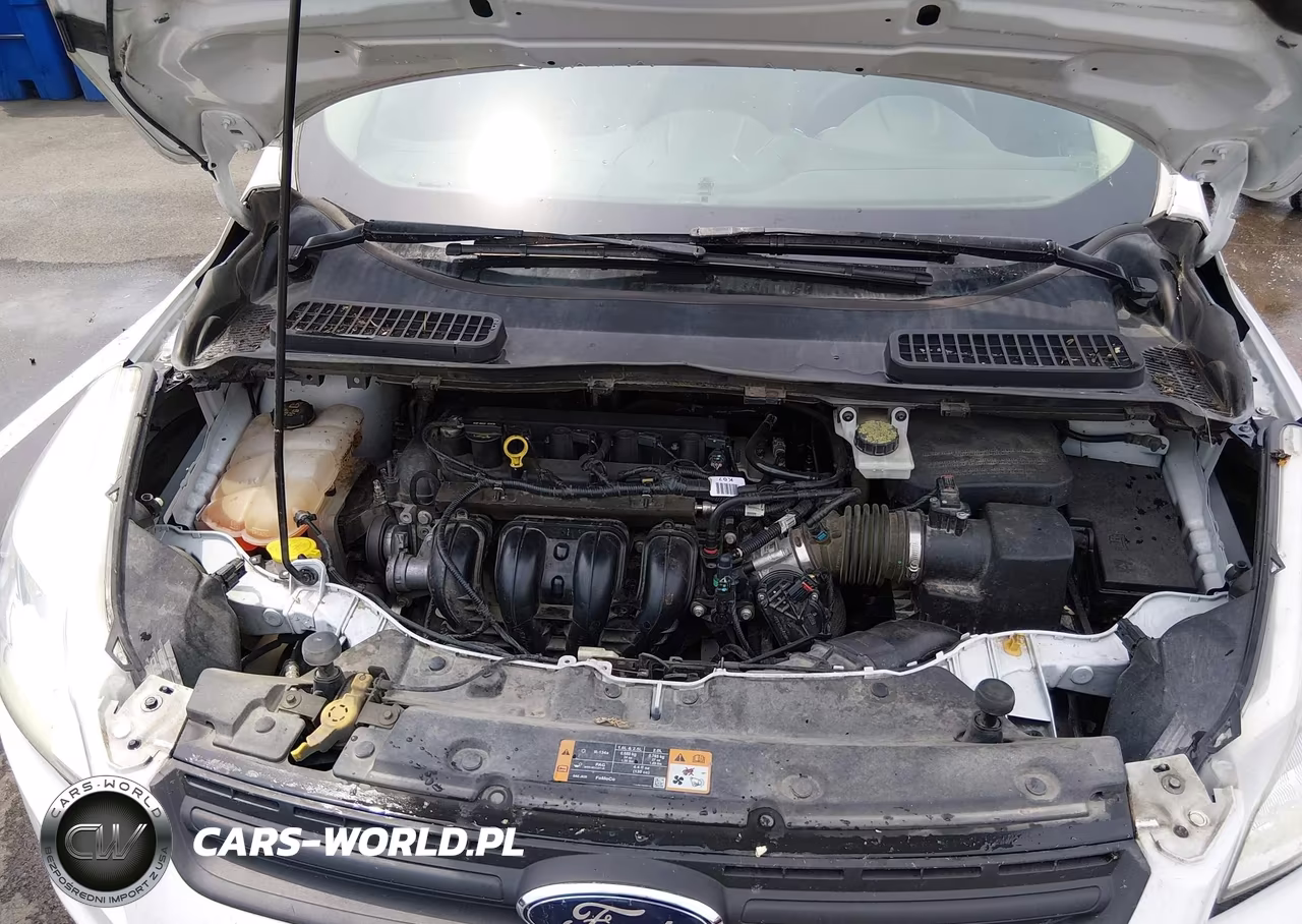 2014 Ford Escape S VIN:1FMCU0F73EUD29678 - 10