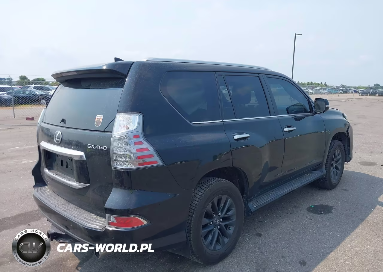 2020 Lexus Gx 460 Premium VIN:JTJAM7BX8L5266527 - 4