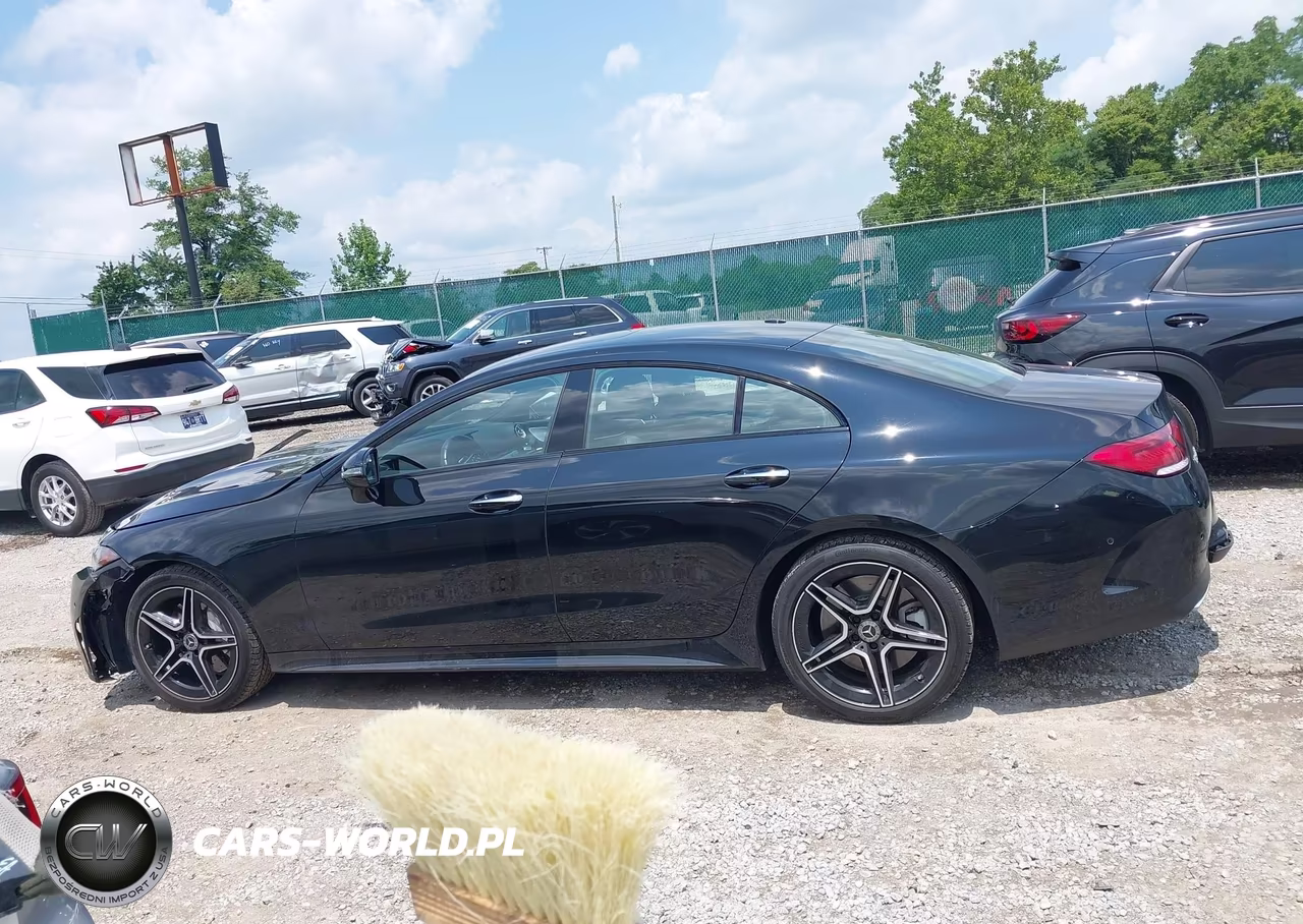2023 Mercedes-Benz Cls 450 Coupe VIN:W1K2J5KB6PA121790 - 13