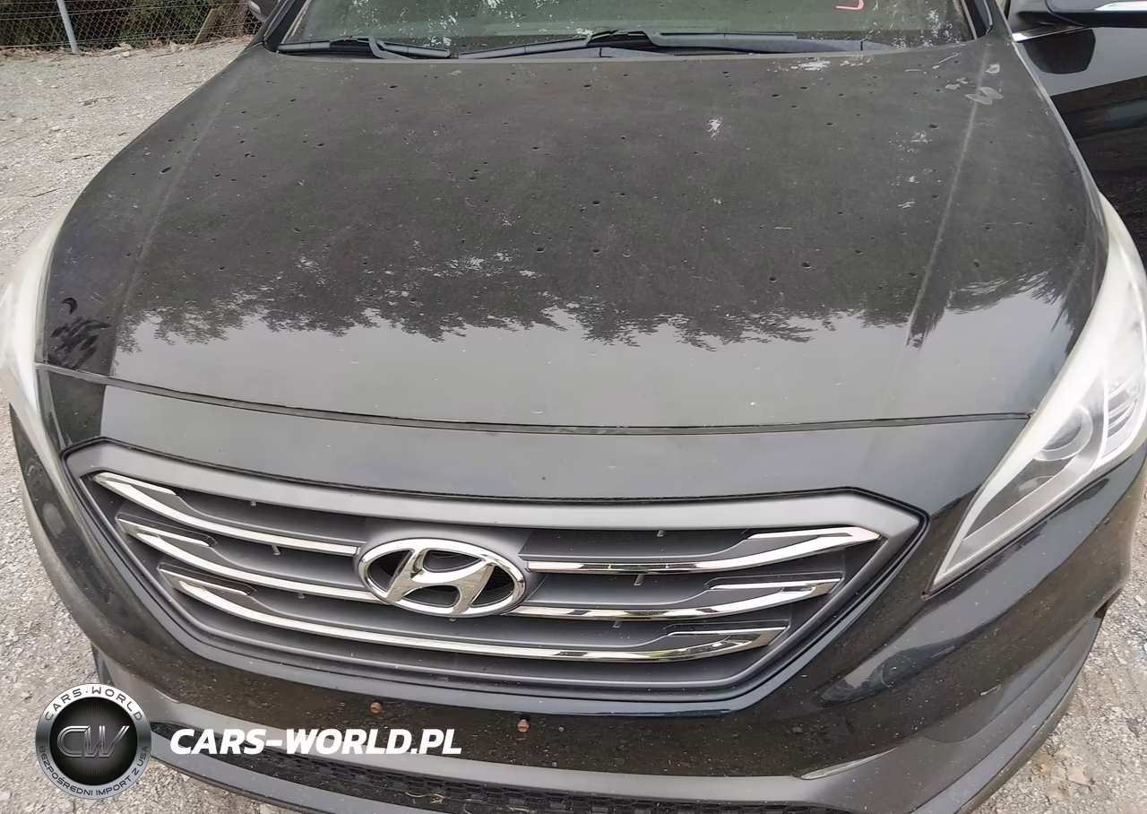 2015 Hyundai Sonata Sport 2.0T VIN:5NPE34AB5FH092464 - 6