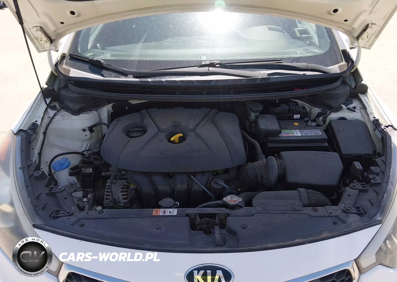 2016 Kia Forte Lx VIN:KNAFX4A64G5456707 - 10