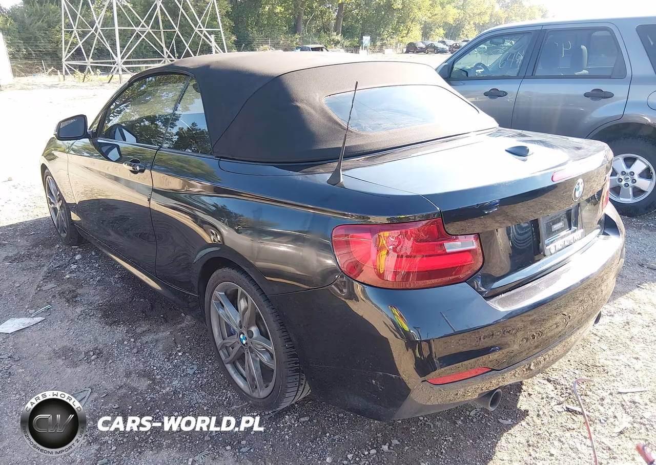 2016 BMW M235I VIN:WBA1M1C58GV394539 - 3