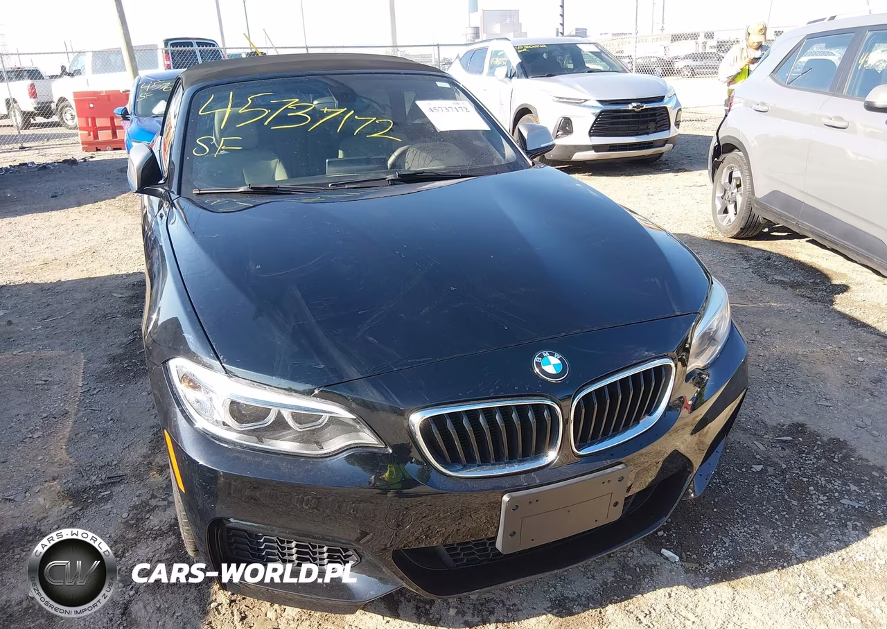 2016 BMW M235I VIN:WBA1M1C58GV394539 - 6