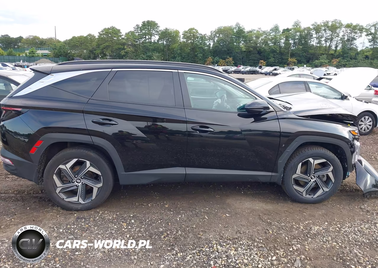 2024 Hyundai Tucson Hybrid Sel Convenience VIN:KM8JCCD11RU190330 - 13