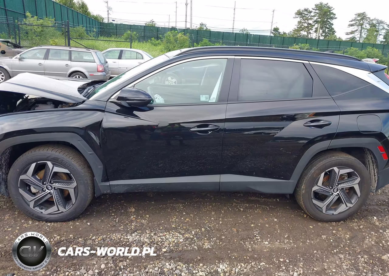2024 Hyundai Tucson Hybrid Sel Convenience VIN:KM8JCCD11RU190330 - 14