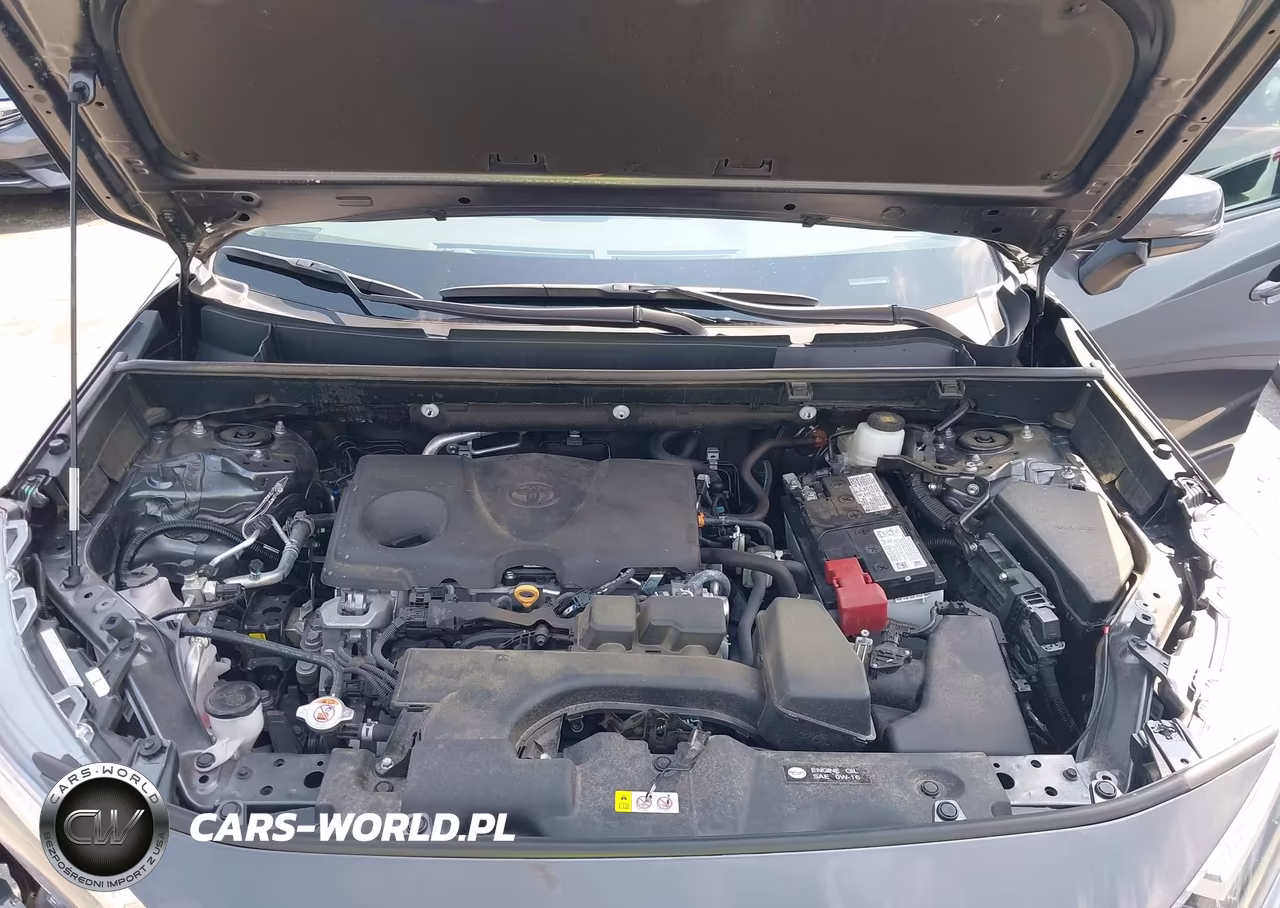 2025 Toyota Rav4 Xle VIN:2T3W1RFV0SC343907 - 10