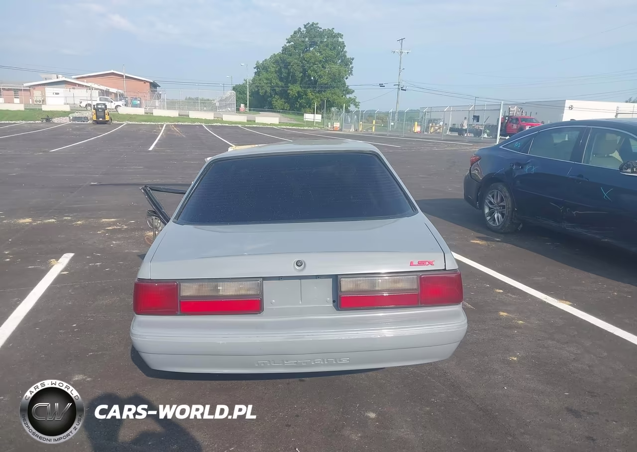 1989 Ford Mustang Lx VIN:1FABP40AXKF150224 - 15