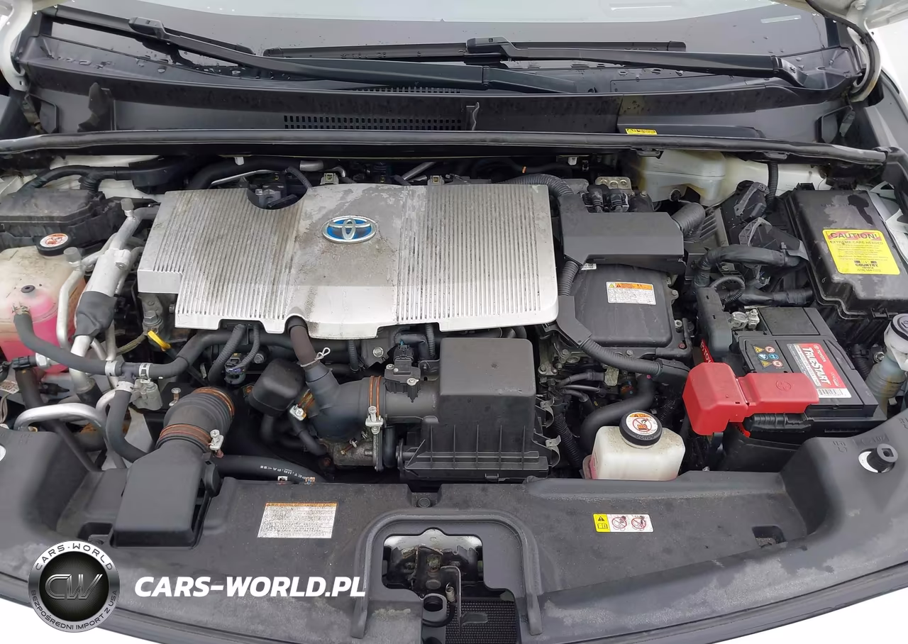 2017 Toyota Prius Prime Advanced VIN:JTDKARFP5H3000973 - 10