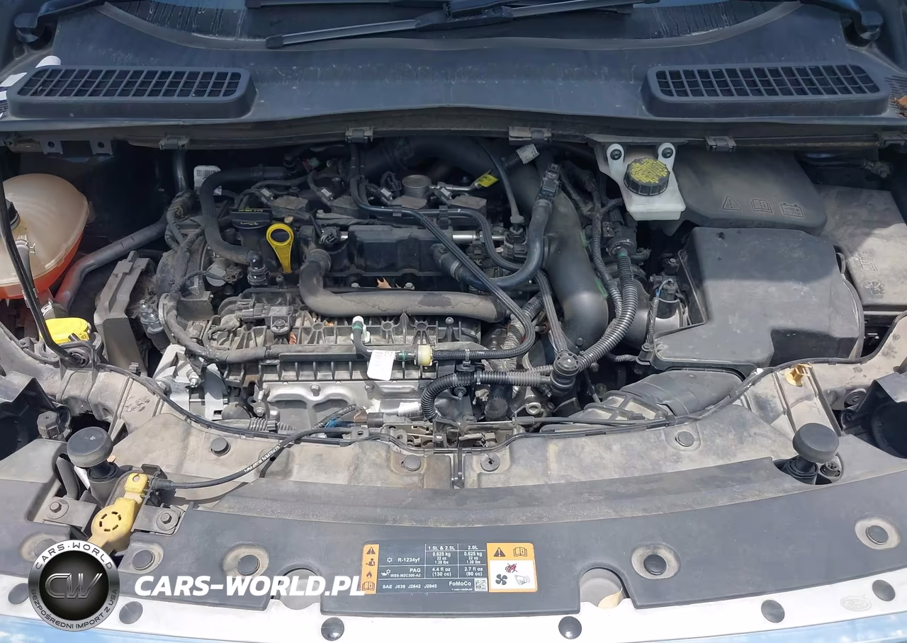 2019 Ford Escape Se VIN:1FMCU0GD4KUA06305 - 10