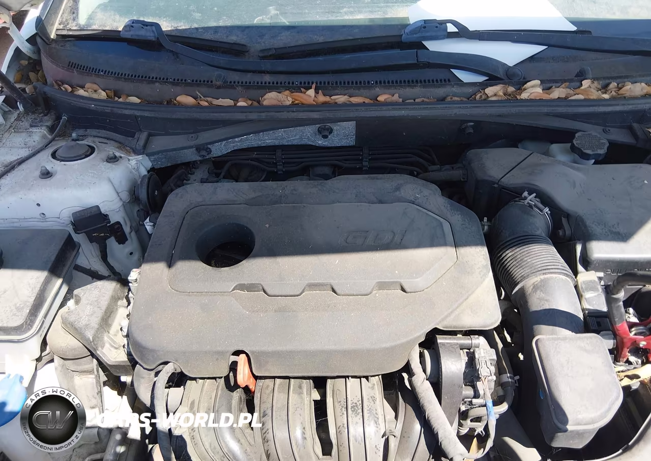2017 Hyundai Sonata VIN:5NPE24AF4HH443597 - 10
