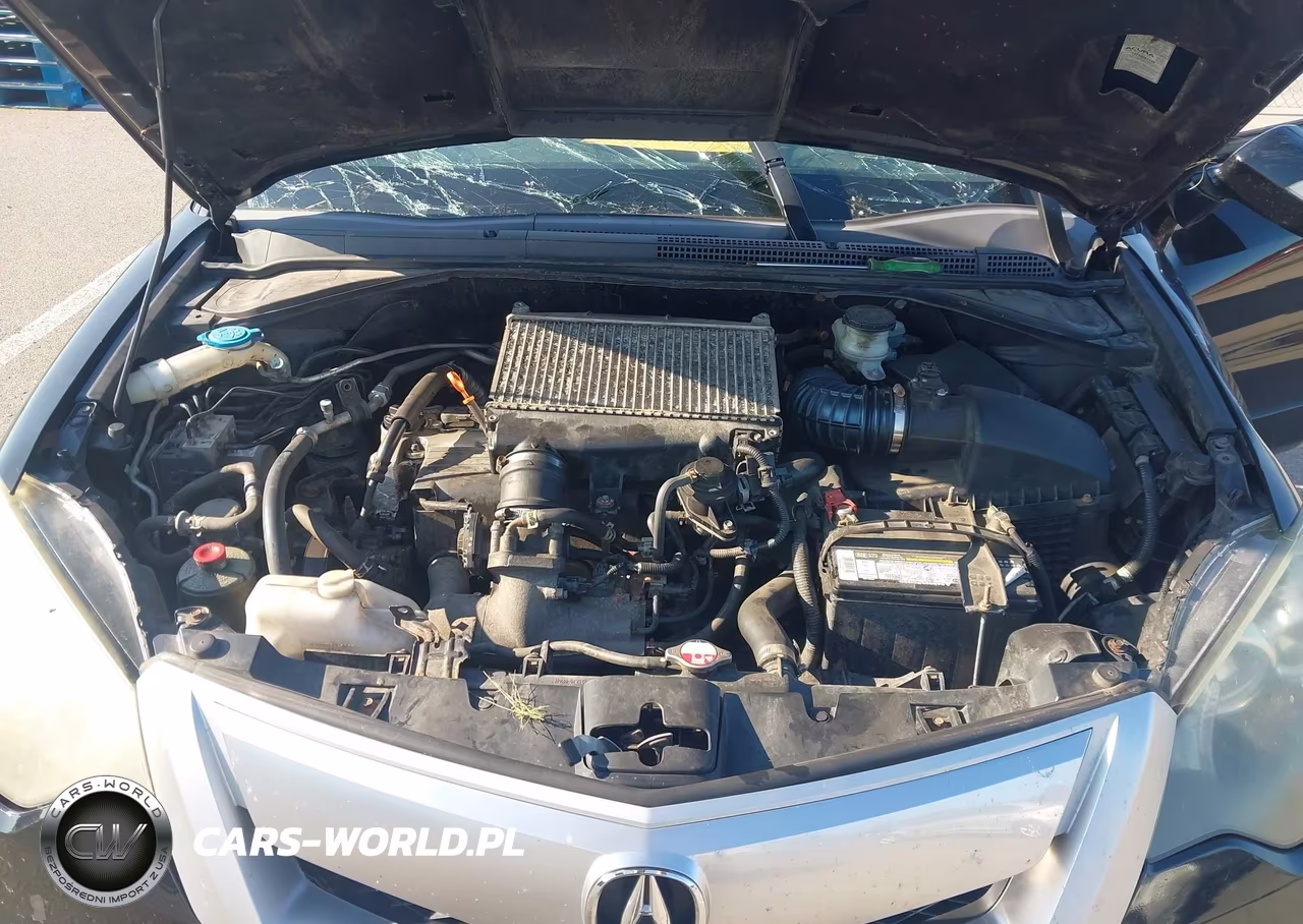 2010 Acura Rdx VIN:5J8TB1H58AA002038 - 10