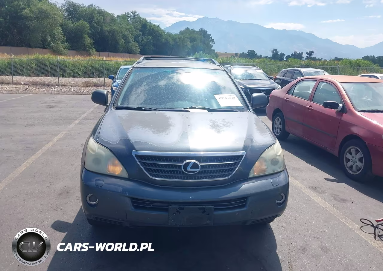 2006 Lexus Rx 400 VIN:JTJHW31U460035036 - 12