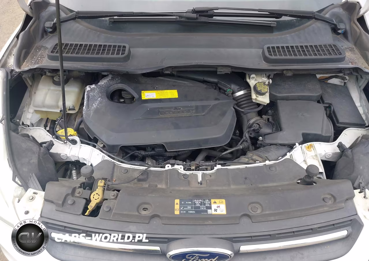 2015 Ford Escape Se VIN:1FMCU9GX6FUA94276 - 10