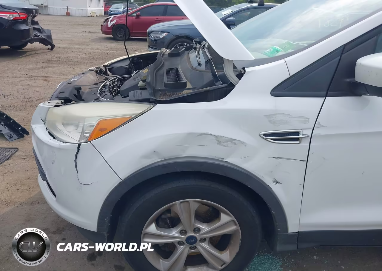 2015 Ford Escape Se VIN:1FMCU9GX6FUA94276 - 12