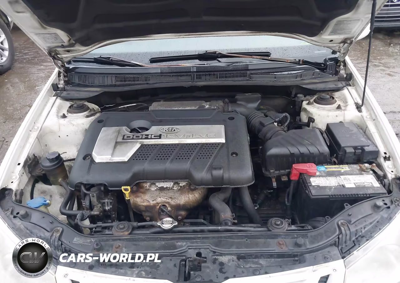 2006 Kia Spectra Ex-Lx-Sx VIN:KNAFE121565344519 - 10