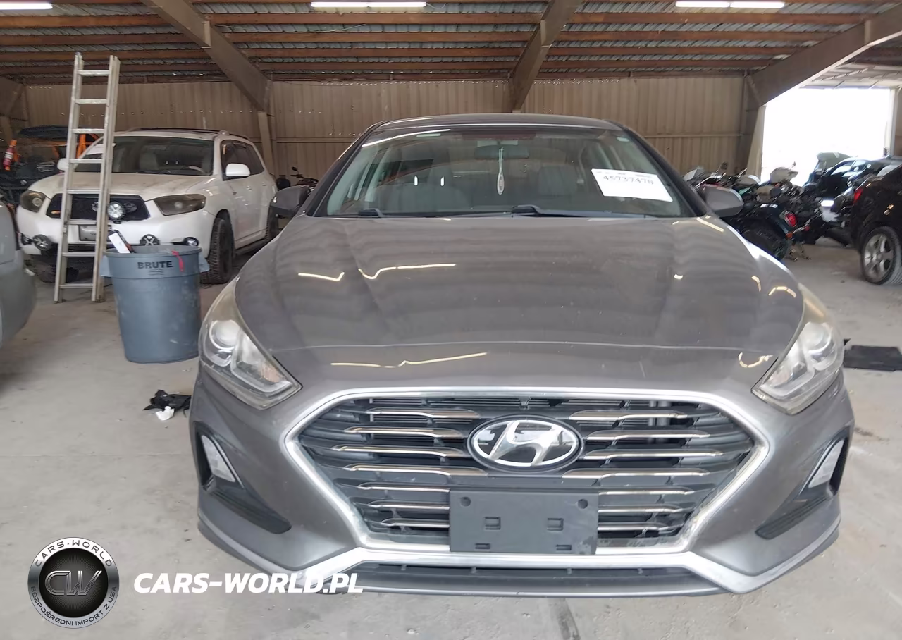 2019 Hyundai Sonata Se VIN:5NPE24AF3KH757622 - 12