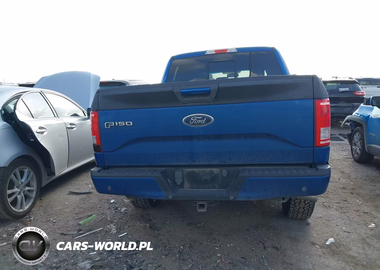 2017 Ford F-150 Xlt VIN:1FTEW1EF9HKC94618 - 16