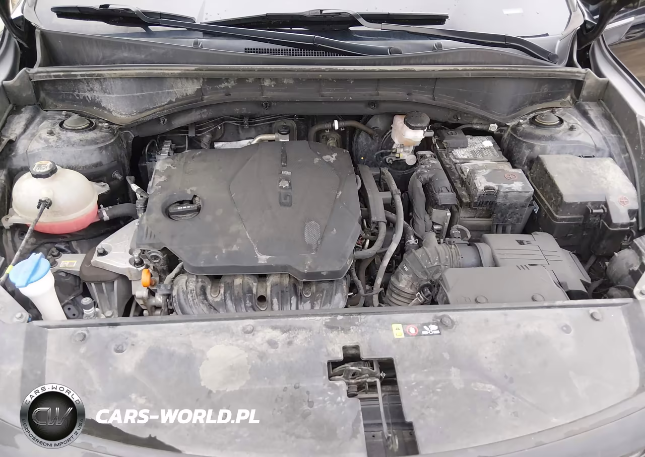 2023 Kia Sorento X-Line S VIN:5XYRLDLC8PG228179 - 10