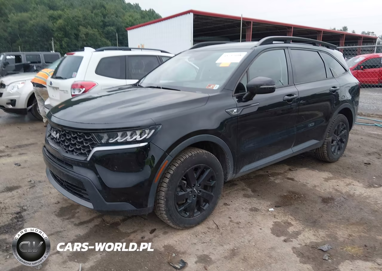 2023 Kia Sorento X-Line S VIN:5XYRLDLC8PG228179 - 2
