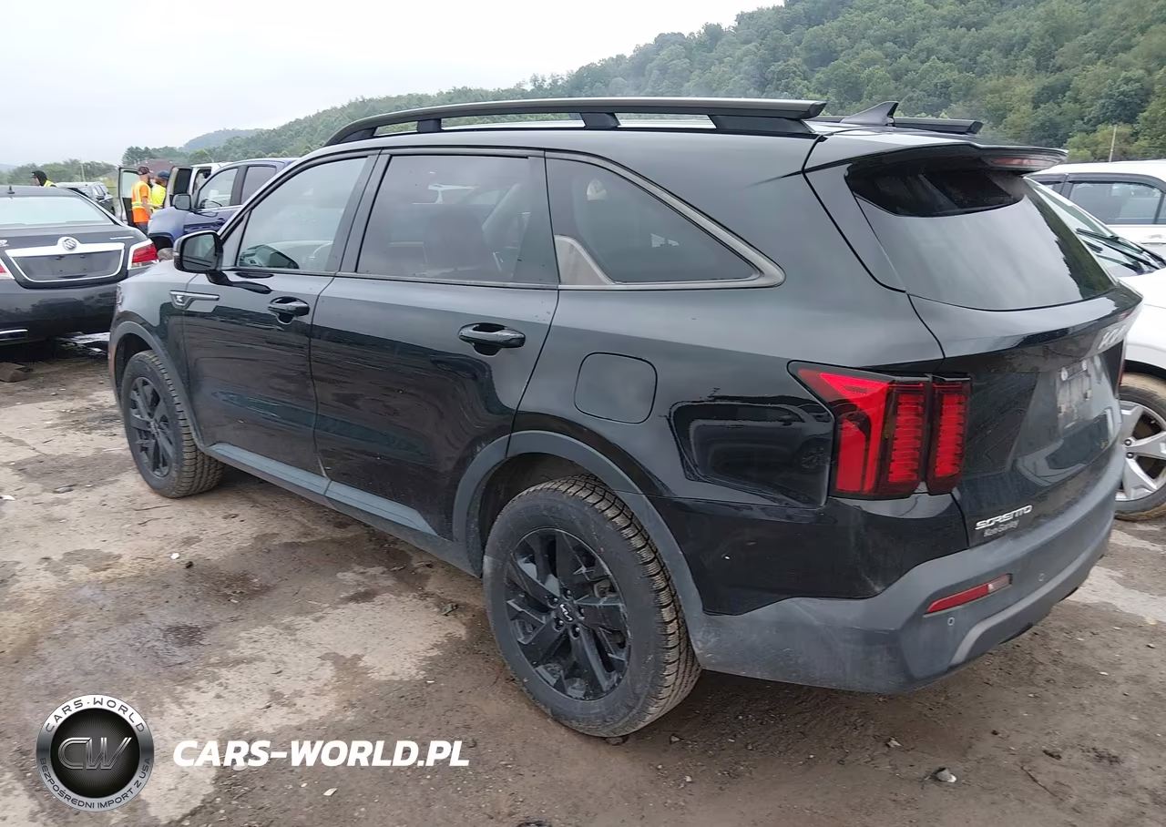 2023 Kia Sorento X-Line S VIN:5XYRLDLC8PG228179 - 3