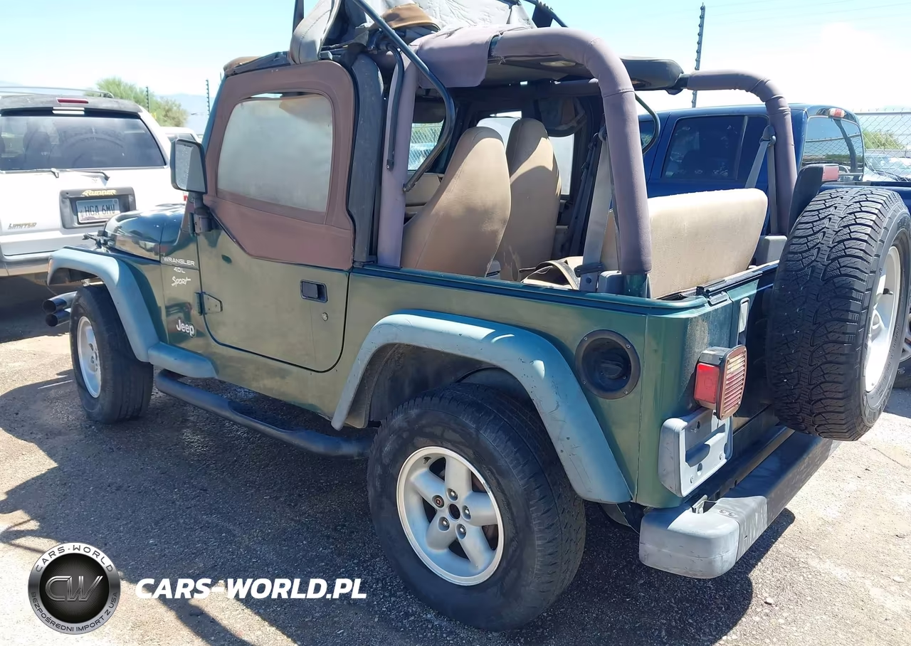 1999 Jeep Wrangler Sport VIN:1J4FY19S2XP440620 - 3