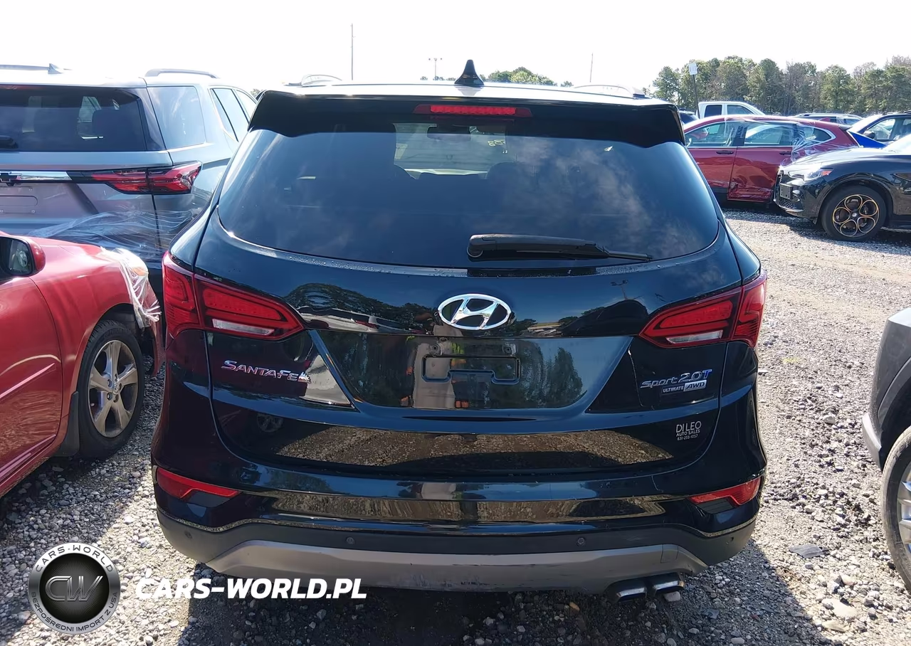 2017 Hyundai Santa Fe Sport 2.0T Ultimate VIN:5XYZWDLA0HG384773 - 16