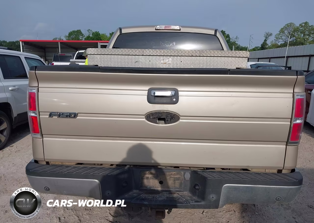 2010 Ford F-150 Fx2 Sport-Xl-Xlt VIN:1FTEW1C87AKA97148 - 17