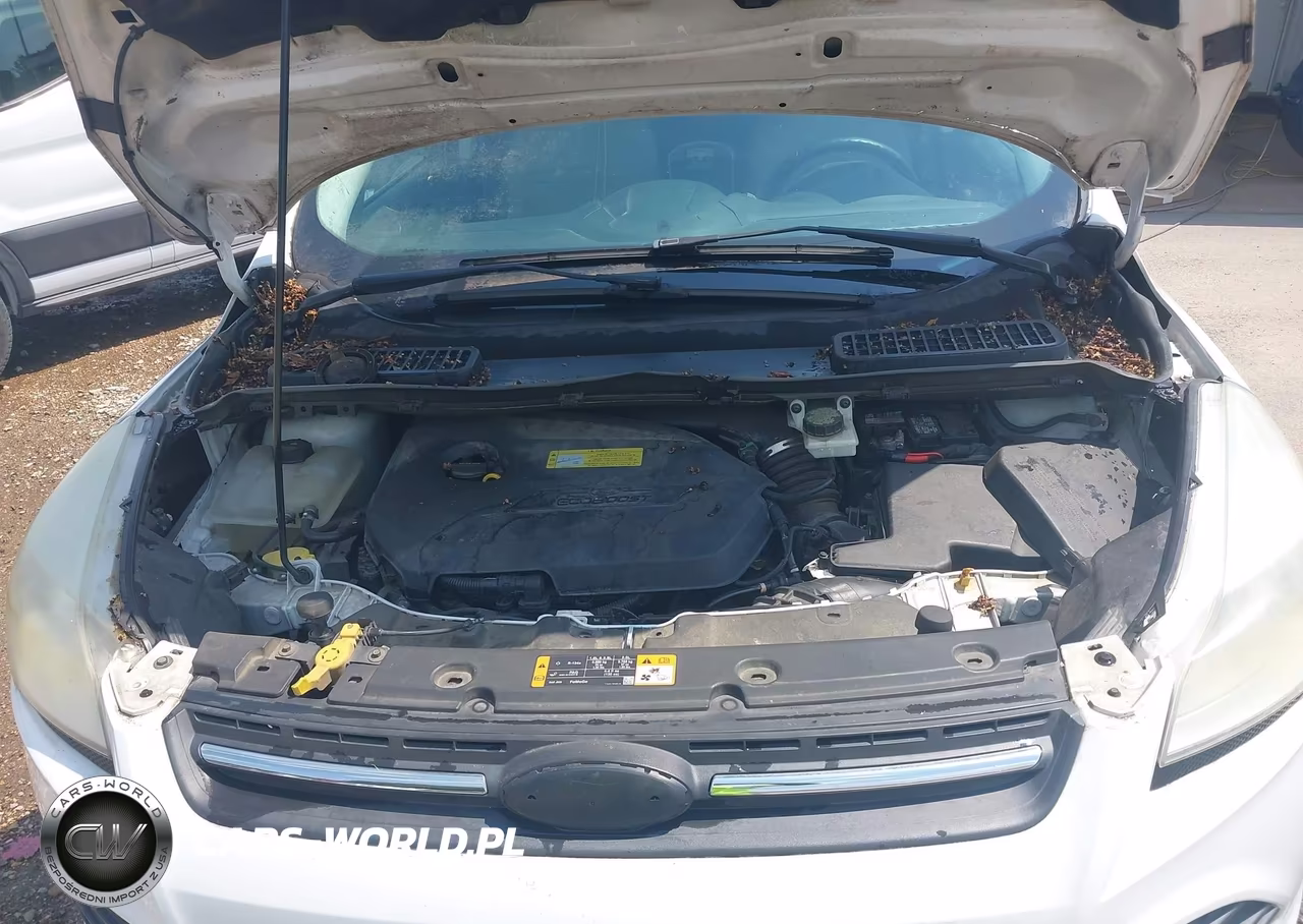 2014 Ford Escape Se VIN:1FMCU0GX9EUD10275 - 10
