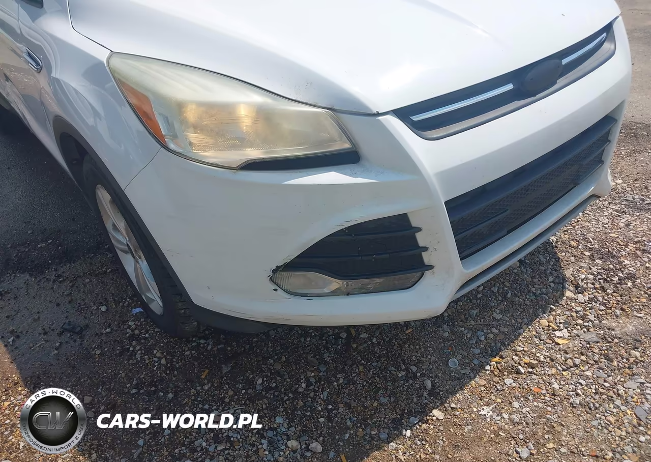 2014 Ford Escape Se VIN:1FMCU0GX9EUD10275 - 12