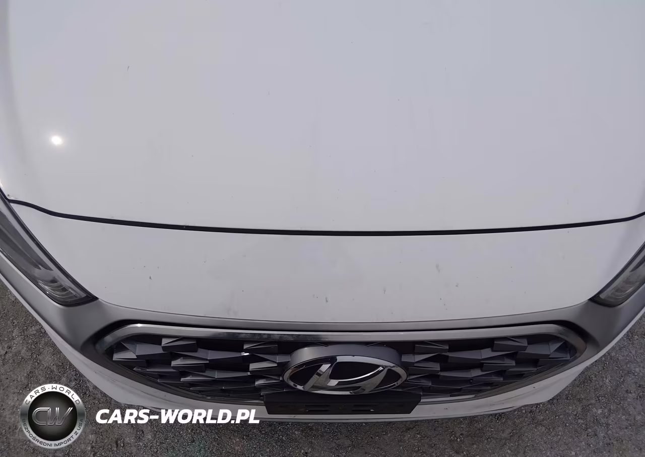 2020 Hyundai Ioniq Hybrid Blue VIN:KMHC65LC0LU221489 - 12