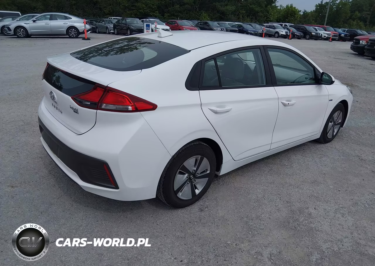 2020 Hyundai Ioniq Hybrid Blue VIN:KMHC65LC0LU221489 - 4