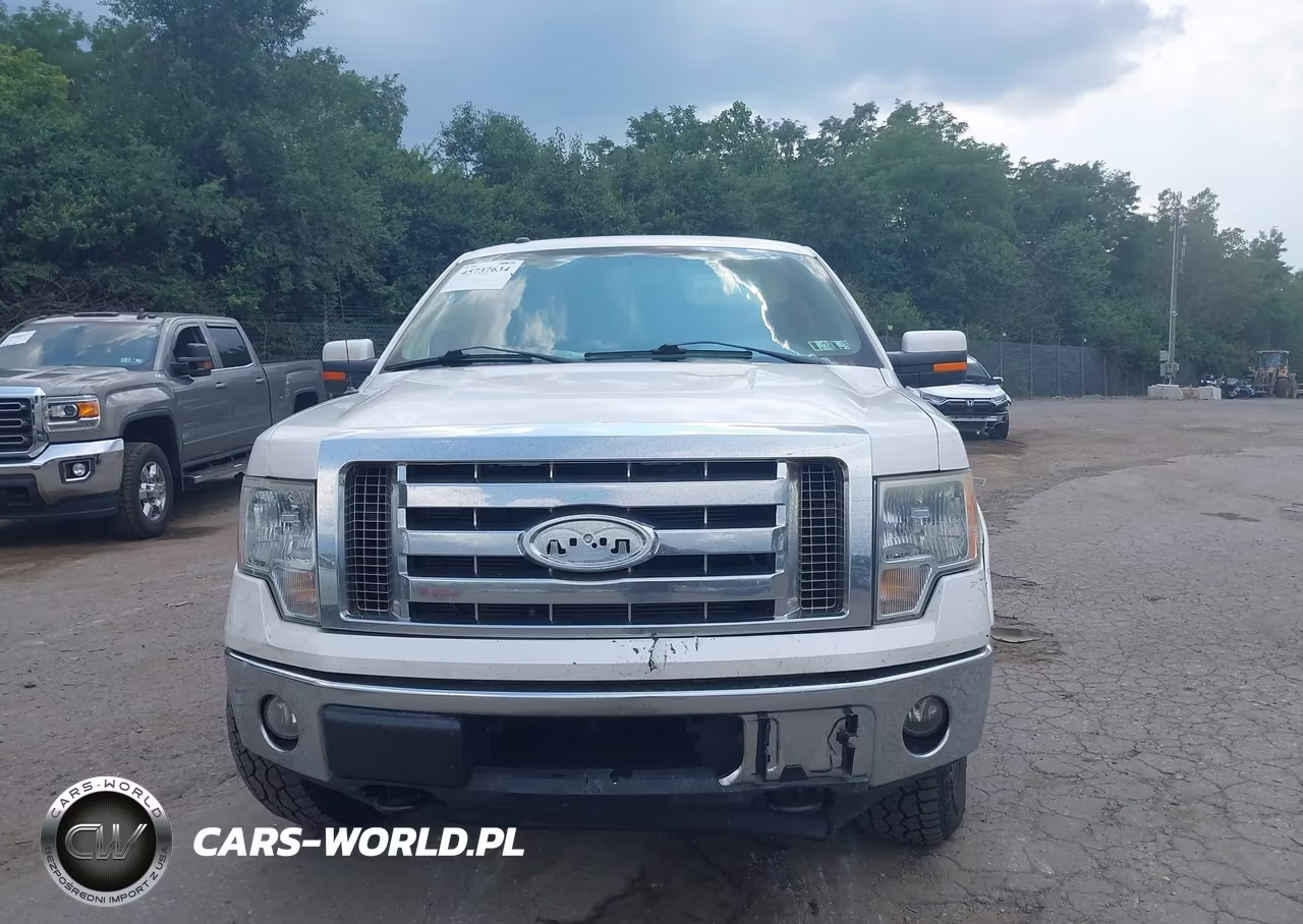 2010 Ford F-150 Fx4-Harley-Davidson-King Ranch-Lariat-Platinum-Xl-Xlt VIN:1FTFW1EV6AFA35109 - 13