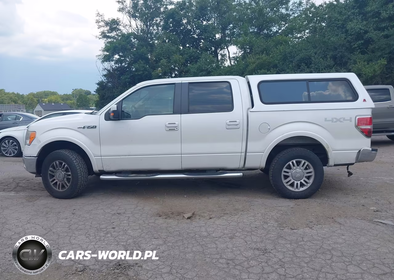 2010 Ford F-150 Fx4-Harley-Davidson-King Ranch-Lariat-Platinum-Xl-Xlt VIN:1FTFW1EV6AFA35109 - 15