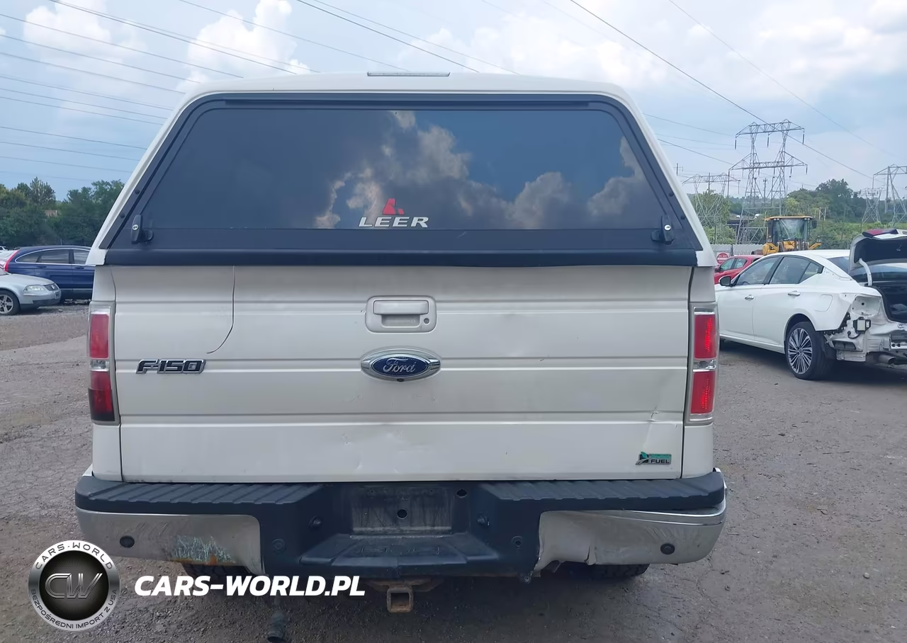 2010 Ford F-150 Fx4-Harley-Davidson-King Ranch-Lariat-Platinum-Xl-Xlt VIN:1FTFW1EV6AFA35109 - 17