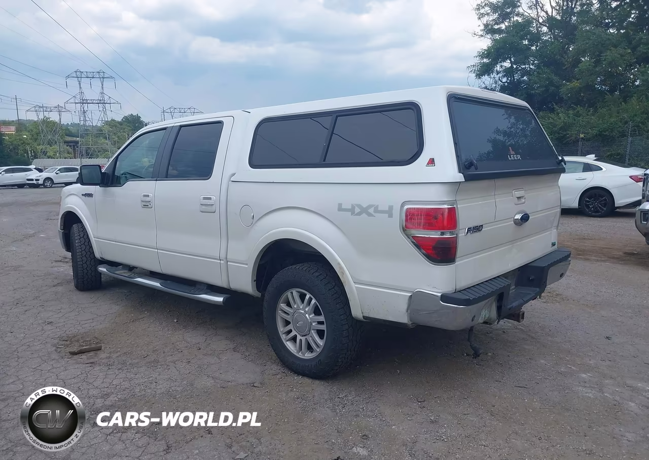 2010 Ford F-150 Fx4-Harley-Davidson-King Ranch-Lariat-Platinum-Xl-Xlt VIN:1FTFW1EV6AFA35109 - 3