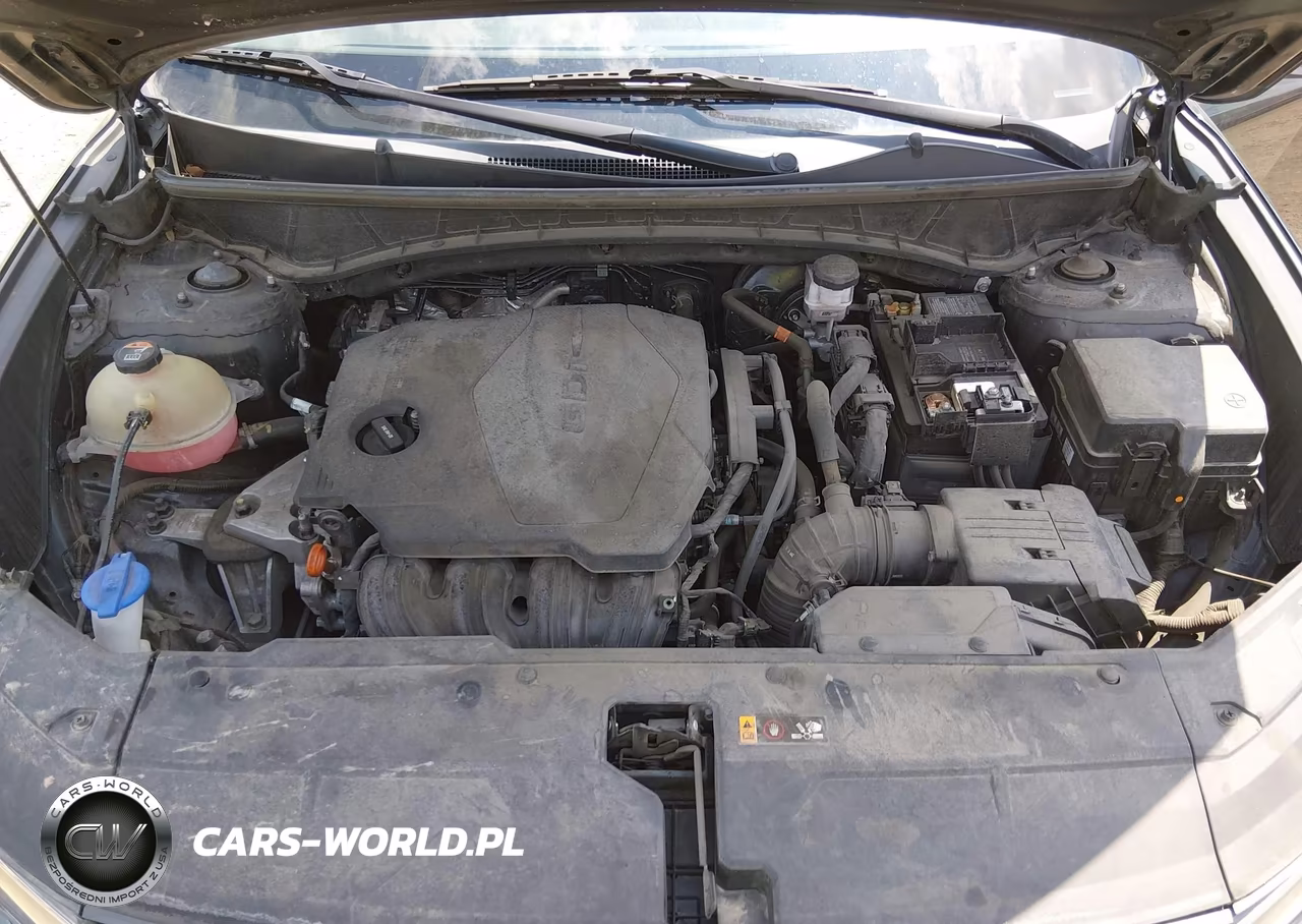 2023 Hyundai Tucson Sel VIN:5NMJBCAE6PH195056 - 10