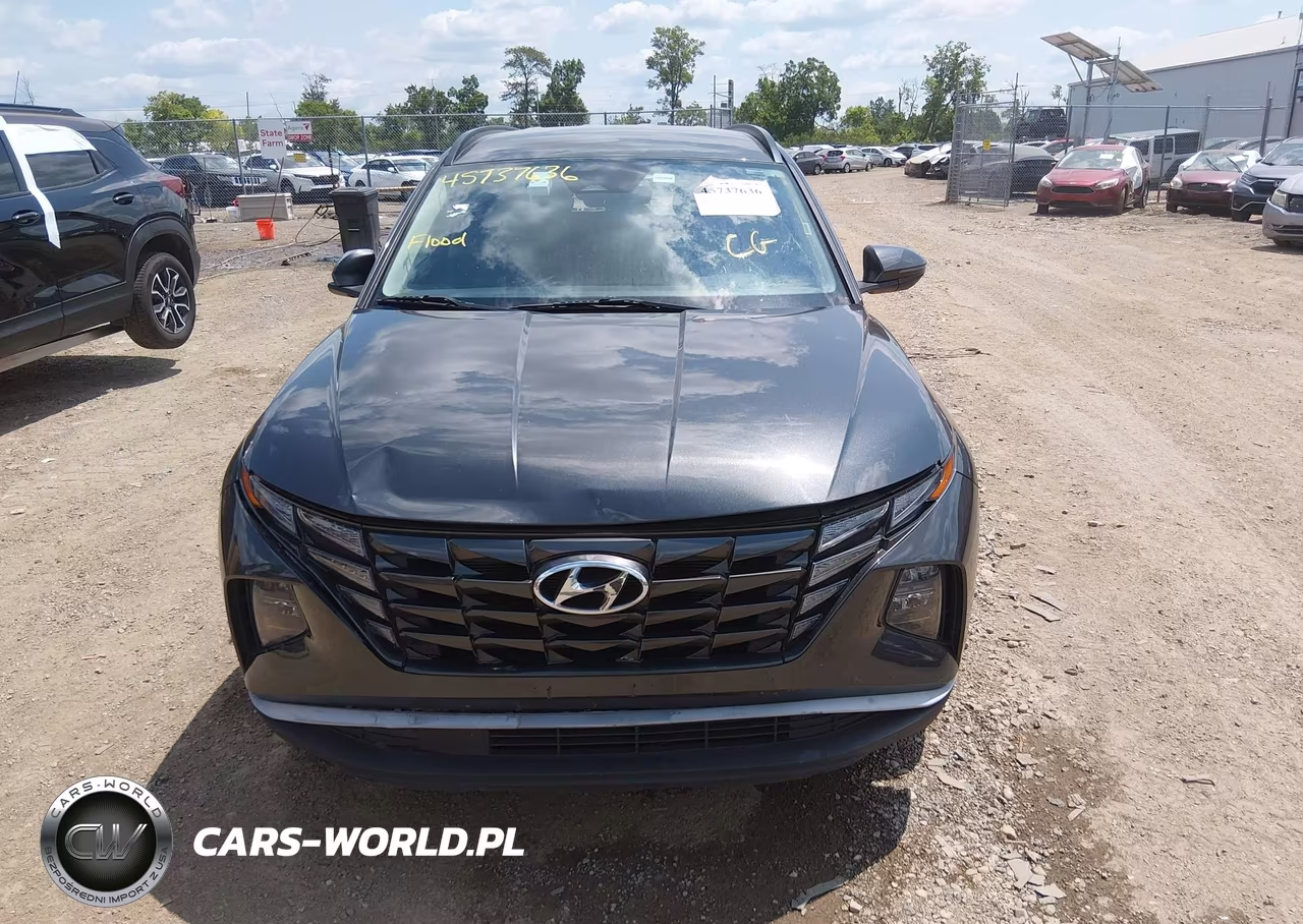 2023 Hyundai Tucson Sel VIN:5NMJBCAE6PH195056 - 12