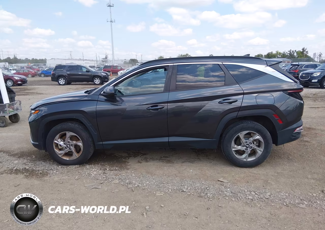 2023 Hyundai Tucson Sel VIN:5NMJBCAE6PH195056 - 14