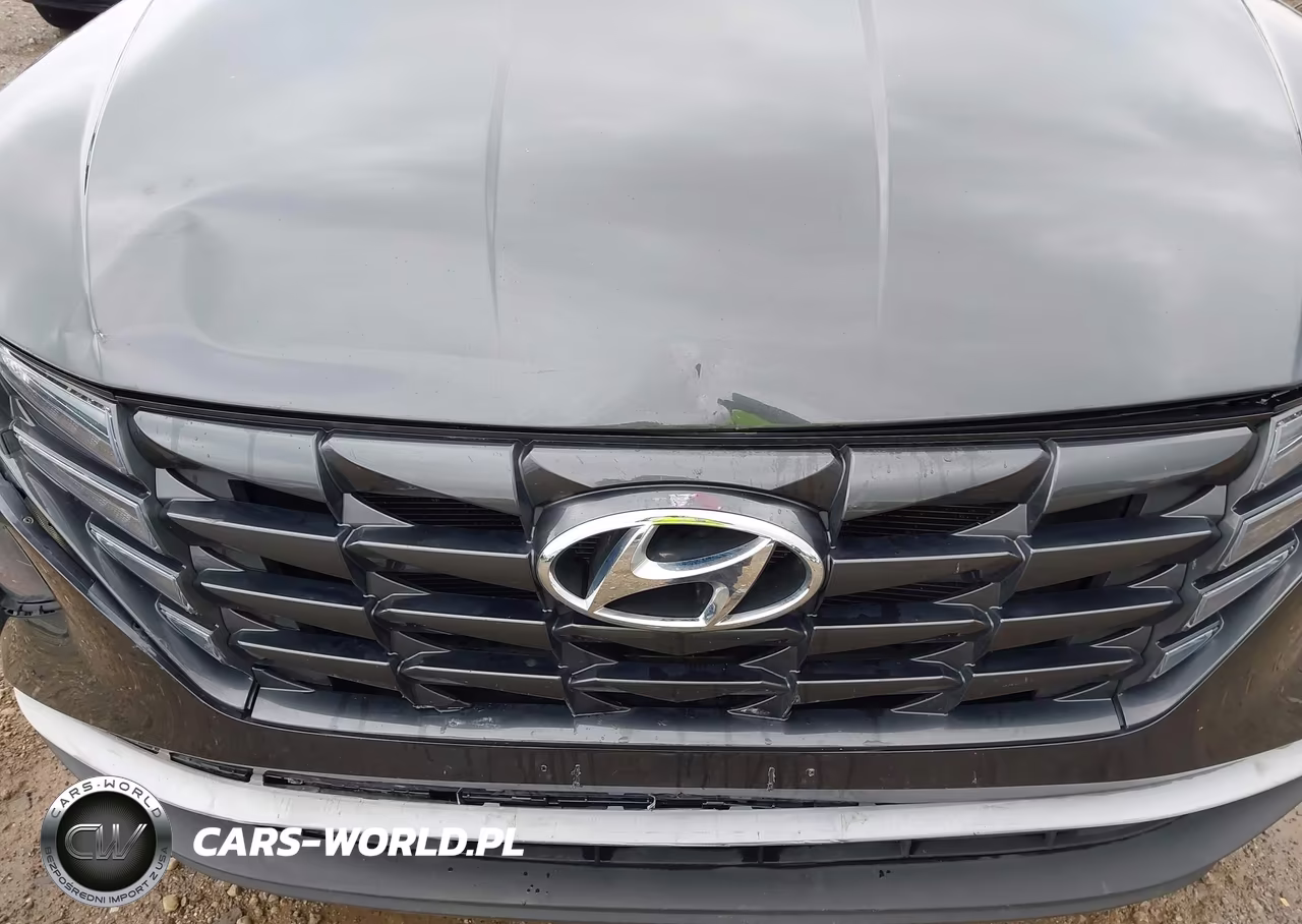 2023 Hyundai Tucson Sel VIN:5NMJBCAE6PH195056 - 17