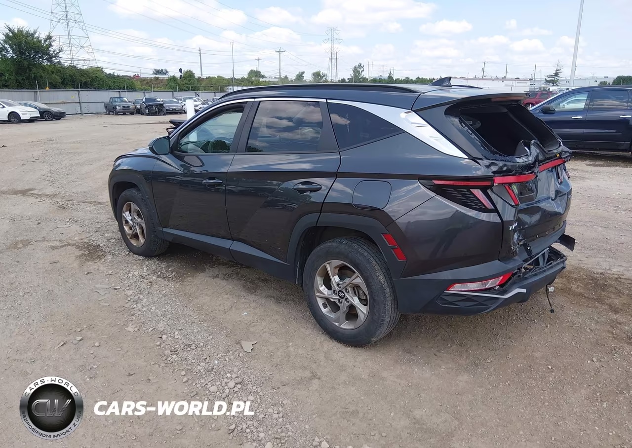 2023 Hyundai Tucson Sel VIN:5NMJBCAE6PH195056 - 3